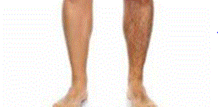 Men's Legs